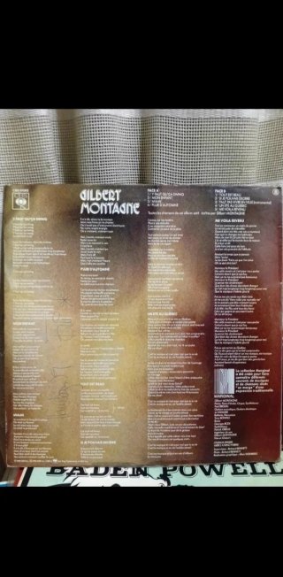 Lote 2 vinilos Gilbert Montagné