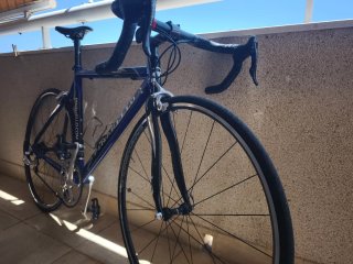 Bicicleta Pinarello Prince SL