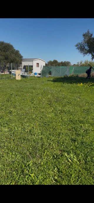Alquilo Parcela para caravanas o autocaravanas.