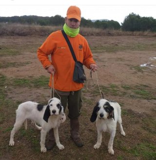 Adiestrador canino