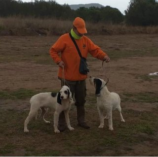 Adiestrador canino