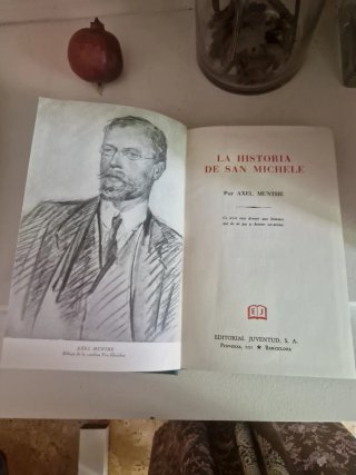 Libro antiguo. La historia de San Michele