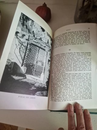 Libro antiguo. La historia de San Michele