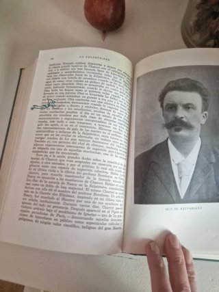 Libro antiguo. La historia de San Michele
