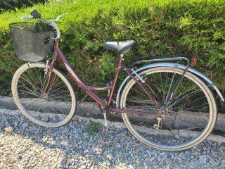 Bicicleta urbana con cesta