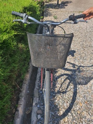 Bicicleta urbana con cesta