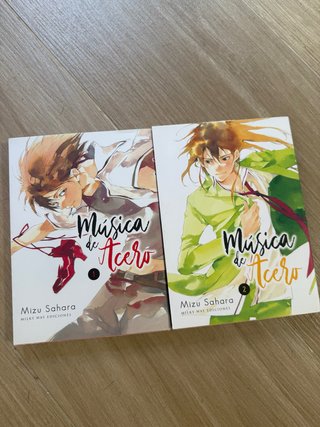 MANGA MUSICA DE ACERO