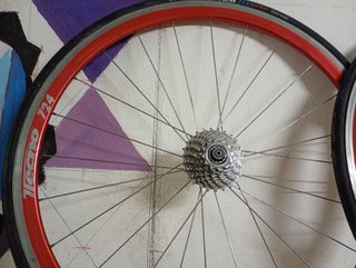 Ruedas Gipiemme Techno 724 - Bujes Gipiemme + cier