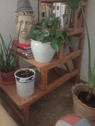 Escalera antigua de madera