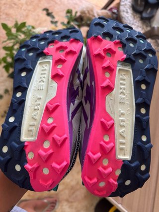 Nike Wildhorse 10 Trail Running Shoes