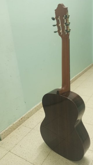 Guitarra Clásica Camps SP-6-C