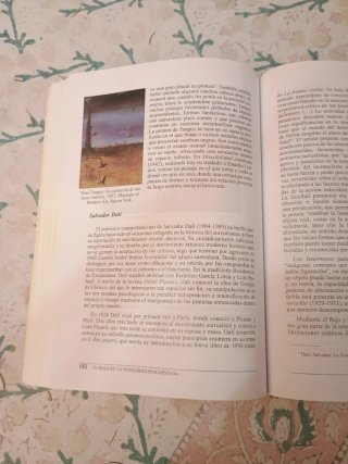 El siglo XX la vanguardia fragmentada