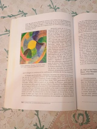 El siglo XX la vanguardia fragmentada