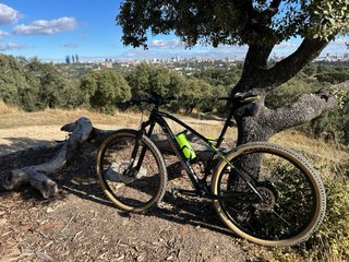 Lapierre Pro Race Sat 529 carbono 29”