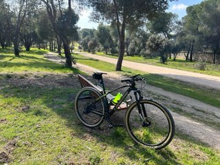 Lapierre Pro Race Sat 529 carbono 29”