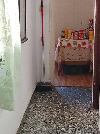 Limpiamos casas y chalets