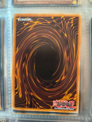 Carta Yu-Gi-Oh! Venus Espléndida 1ª Edizione