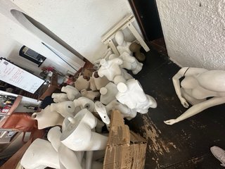 Lote de Maniquíes Torso Mujer Blancos