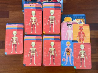 Cuerpo Humano Magnético Multilenguaje EUREKAKIDS