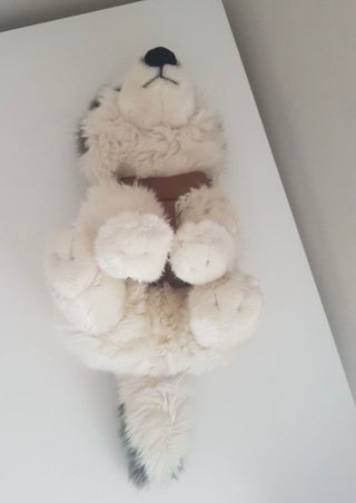Peluche Husky