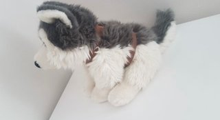 Peluche Husky