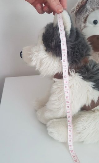 Peluche Husky