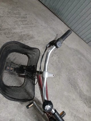 Bicicleta Clásica con Cesta