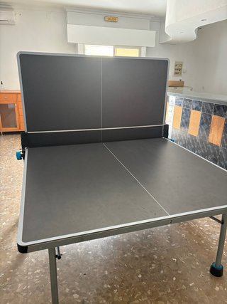 Mesa Ping Pong Profesional Decathlon
