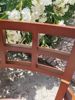 Juego de 4 sillas de haya