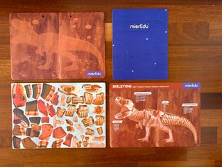 Maletín magnético Tyrannosaurus Rex – MierEdu