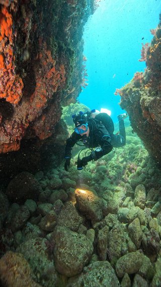 Cursos de buceo todos los niveles