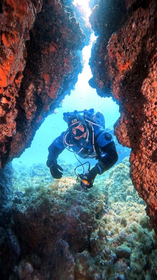 Cursos de buceo todos los niveles