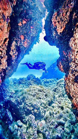 Cursos de buceo todos los niveles