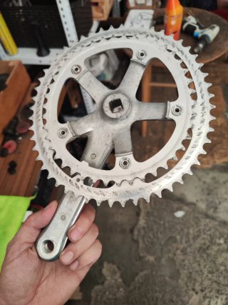 Platos Shimano RX100