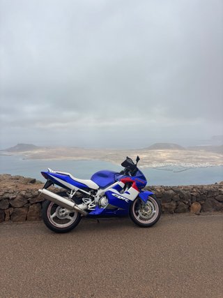 Honda CBR 600 RR Azul/Blanco/Rojo