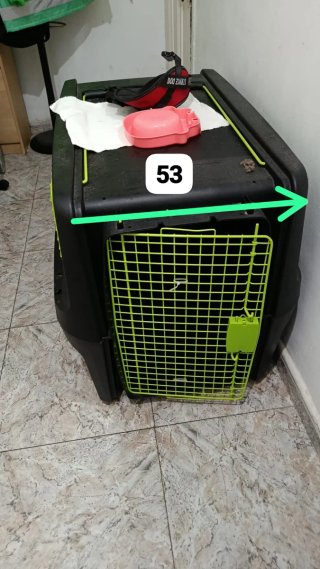 Jaula de viaje para perro homologada