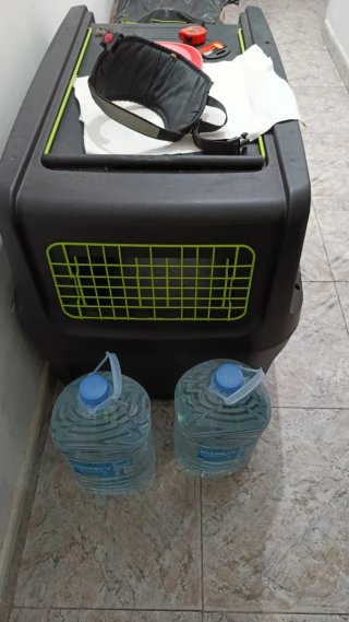 Jaula de viaje para perro homologada