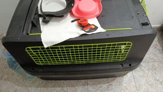 Jaula de viaje para perro homologada