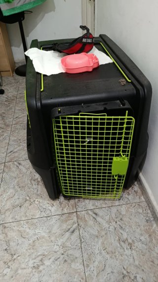 Jaula de viaje para perro homologada