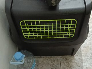 Jaula de viaje para perro homologada