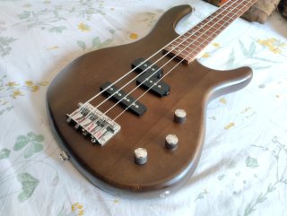 Bajo Cort action PJ
