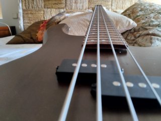 Bajo Cort action PJ