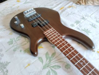 Bajo Cort action PJ