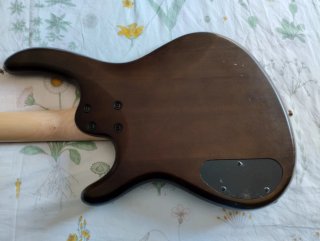Bajo Cort action PJ