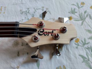 Bajo Cort action PJ