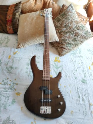 Bajo Cort action PJ