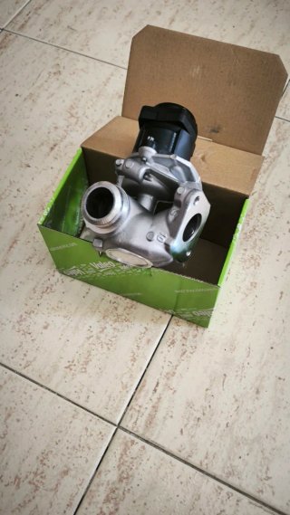 Válvula EGR Citroën/Peugeot/Ford