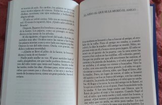 Los niños tontos