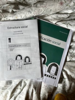 Apuntes y libro estructura social