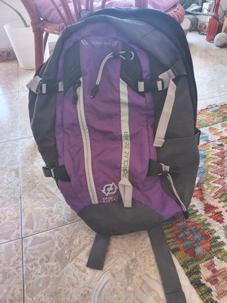 Mochila Quechua Forclaz 22 Air